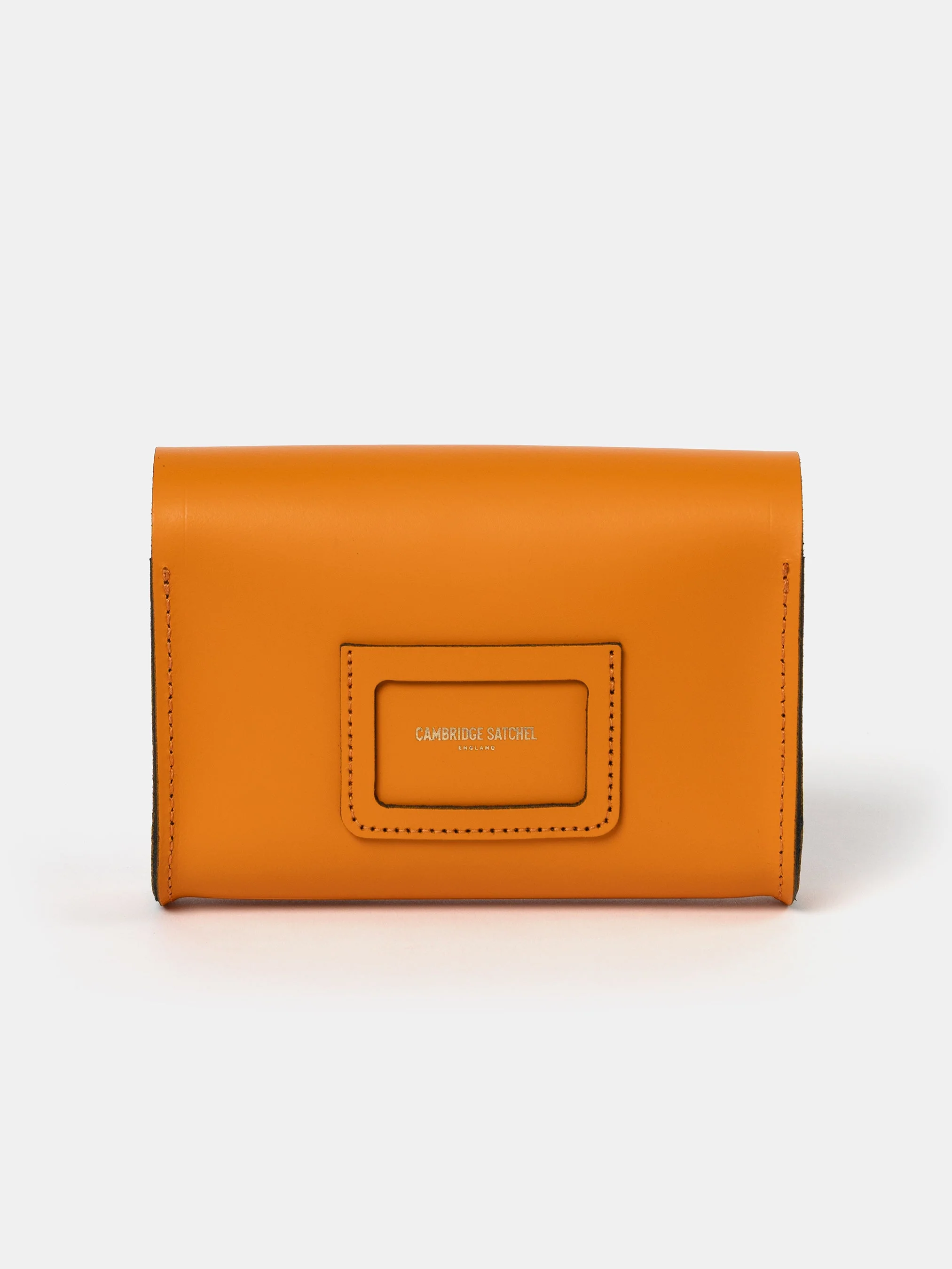 The Pushlock - Tiger - Image 3