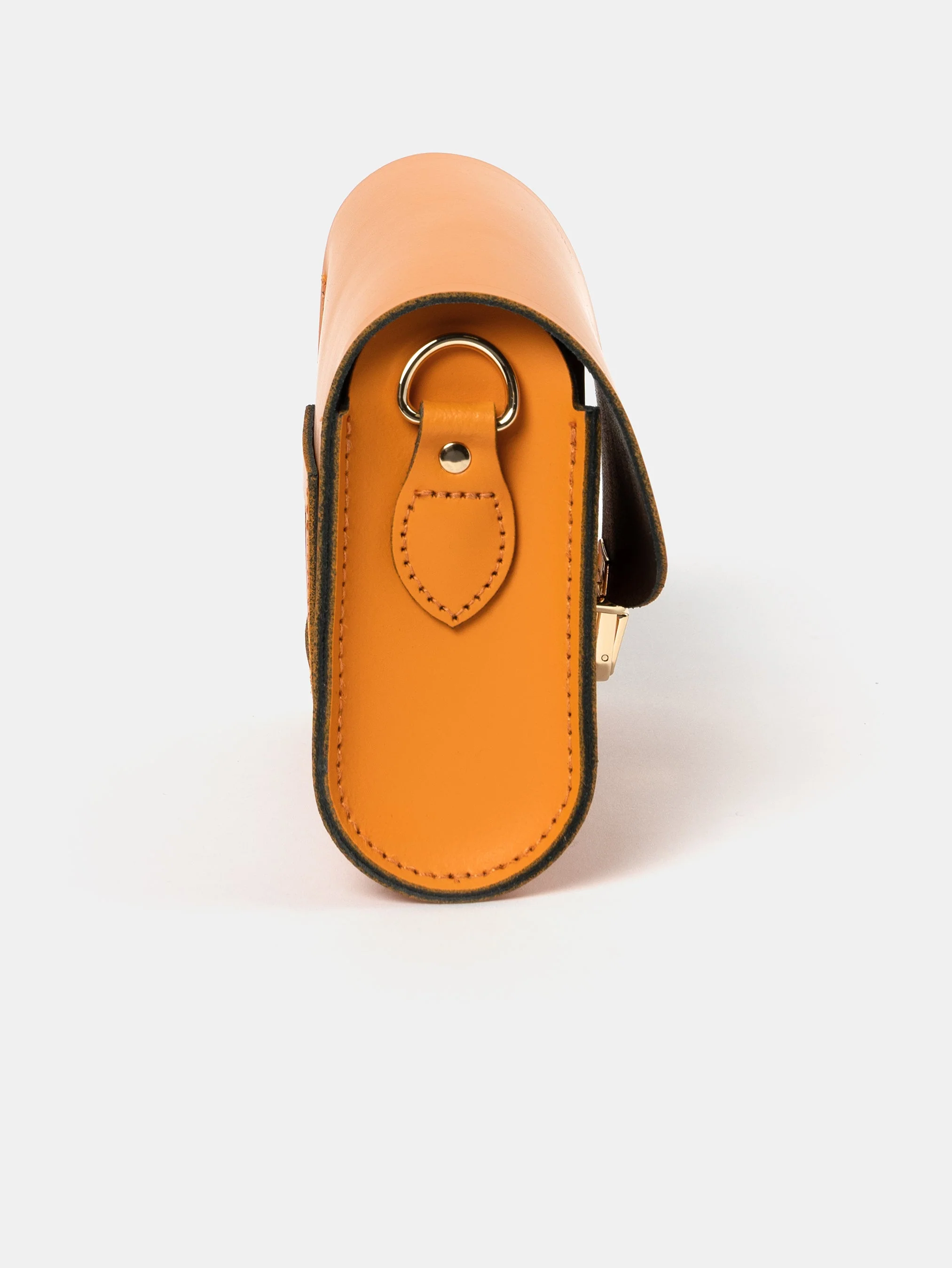 The Pushlock - Tiger - Image 4