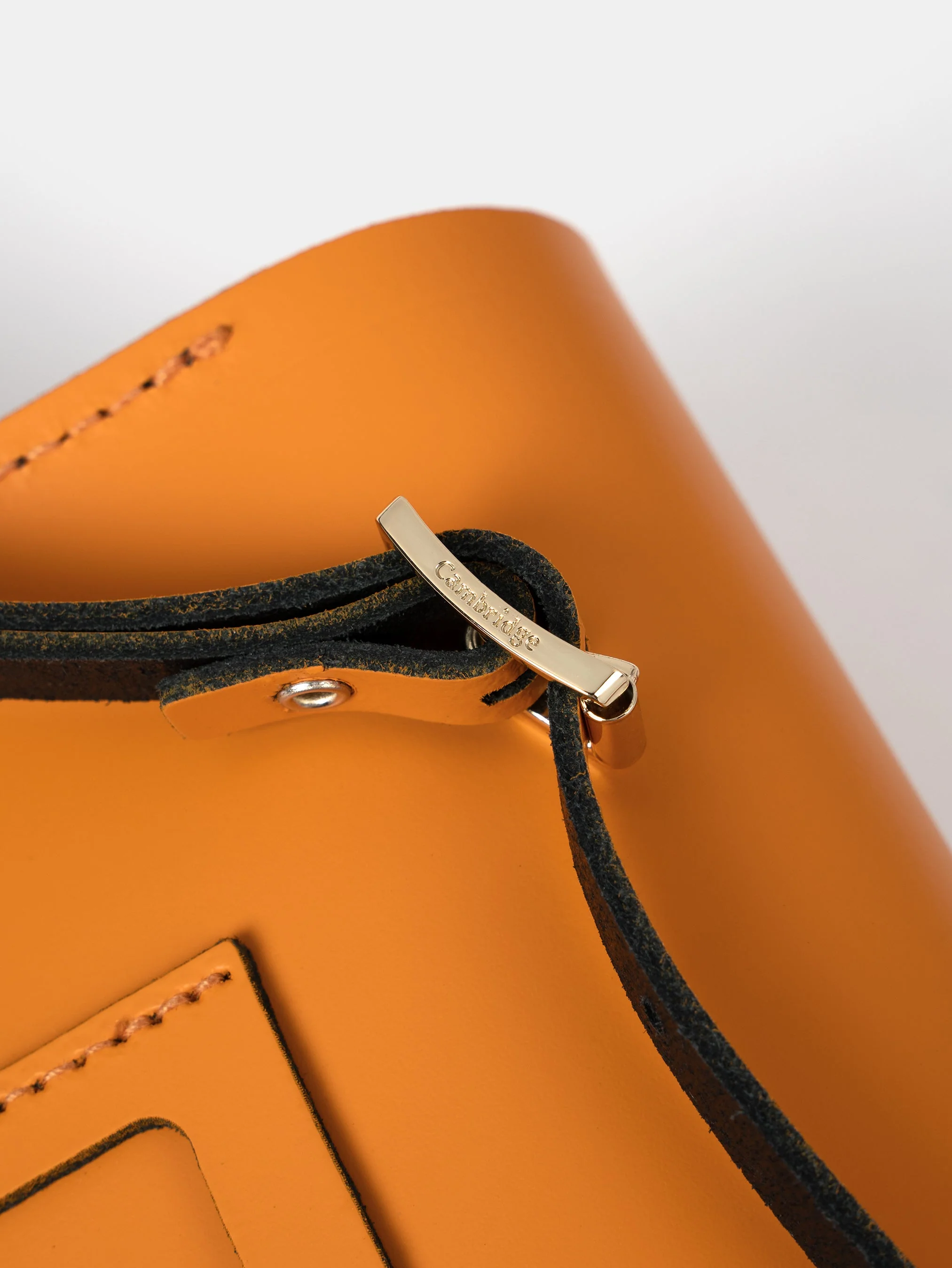 The Pushlock - Tiger - Image 8