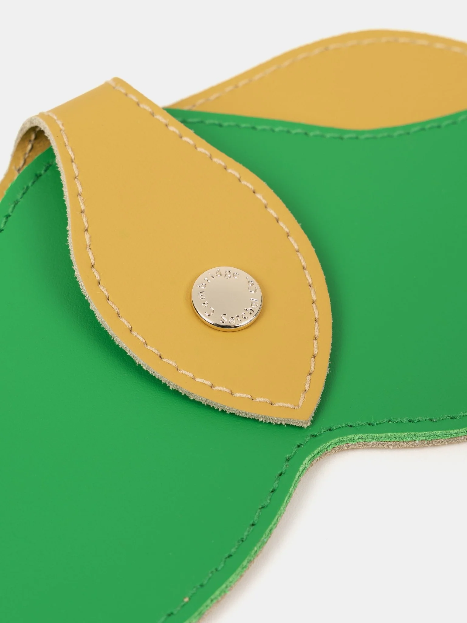 The Sunglasses Case - Indian Yellow & Apple Green - Image 5